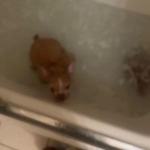 Meet your Posher, Arilyn